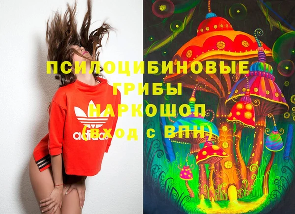 ешки Вяземский