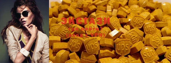 гашик Вязьма