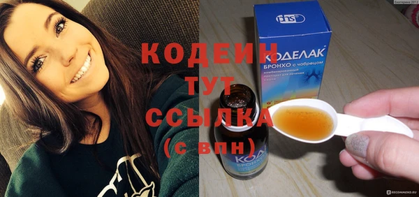 ешки Вяземский