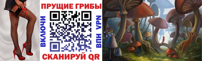 Галлюциногенные грибы MAGIC MUSHROOMS  наркошоп  kraken как войти  Западная Двина 